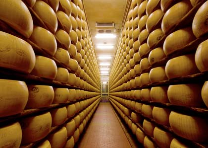 PARMESAN CHEESE FACTORY